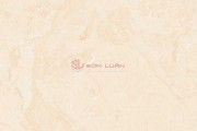 Gạch Ốp Lát APODIO 66282013